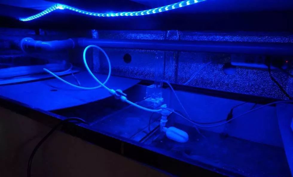 玩得细致、专业，出手不凡！