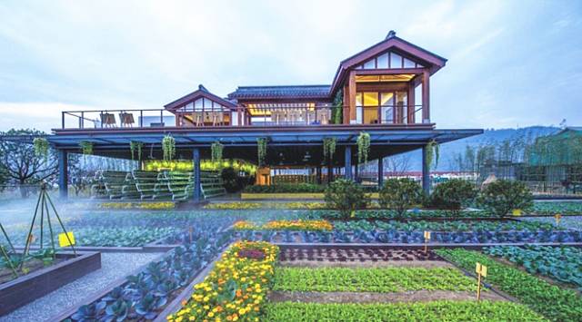 龙泉驿区幸福美丽乡村建设,龙泉驿日照村乡村振兴项目