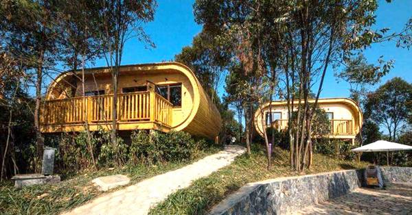 龙泉驿区幸福美丽乡村建设,龙泉驿日照村乡村振兴项目