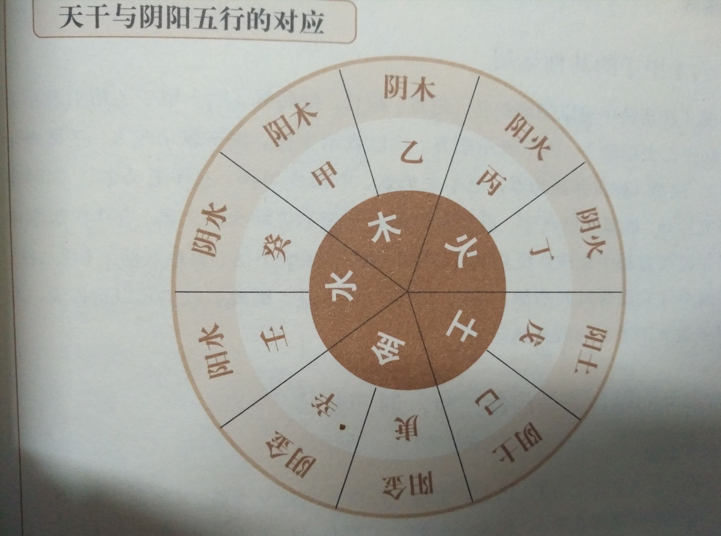 认识天干地支及八字,天干地支五行