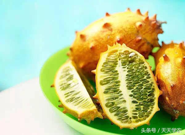 全球最奇特的十个水果,世界上最奇异的水果