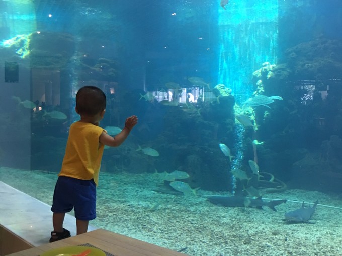 带上兜兜去旅游,带着小嘟嘟去旅游