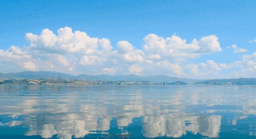 12306什么时候能够免费买票,铁路12306什么时候能买元旦车票