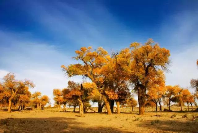 2018一个人的旅行,2018年等一个人陪我一起去西藏