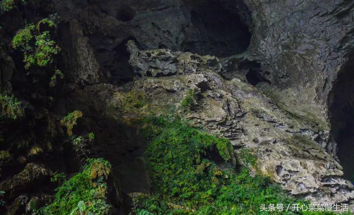 巴马为什么被称为长寿之乡的原因,世界长寿之乡巴马记录篇