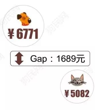 养猫舒服还是养狗舒服,养猫有意思还是养狗有意思