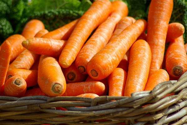 冬季寒冷宝宝的饮食需调整,冬季应该做哪些食物给宝宝吃