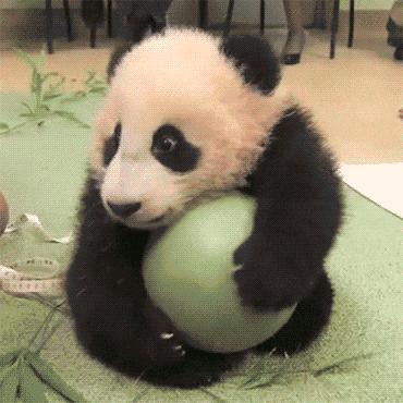 12306什么时候能够免费买票,铁路12306什么时候能买元旦车票