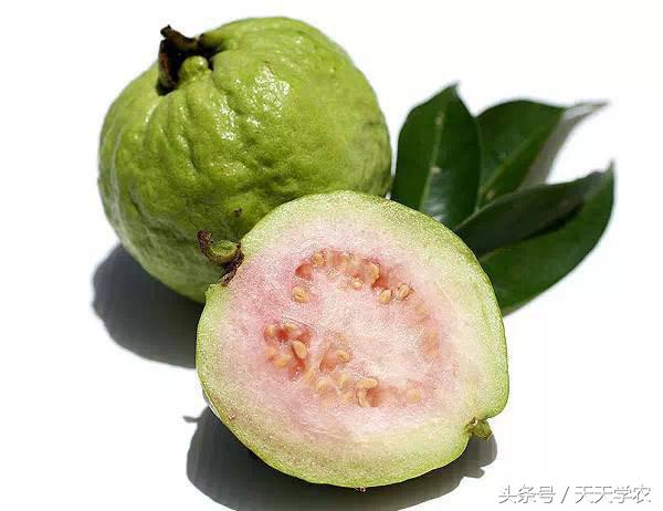 全球最奇特的十个水果,世界上最奇异的水果