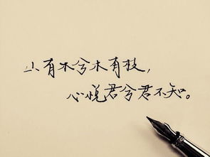 山有木兮木有枝的全部诗句,山有木兮心悦君兮君不知是诗吗