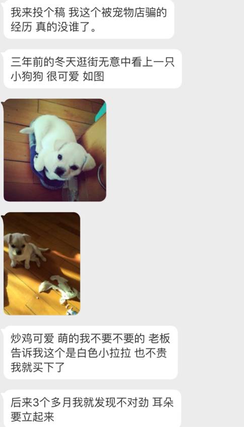 宠物爱心骗局新套路,宠物圈骗局大揭秘