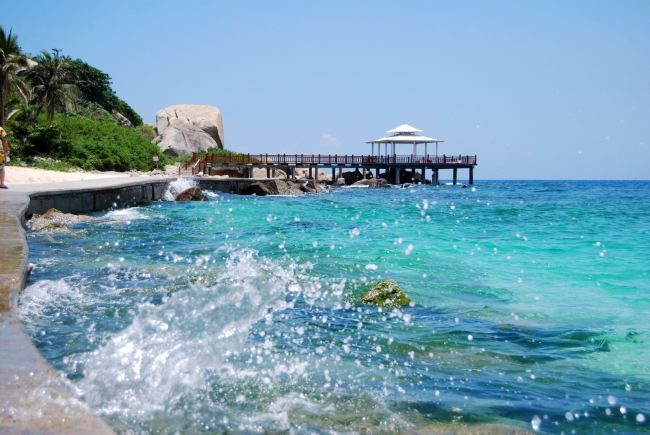 12306什么时候能够免费买票,铁路12306什么时候能买元旦车票