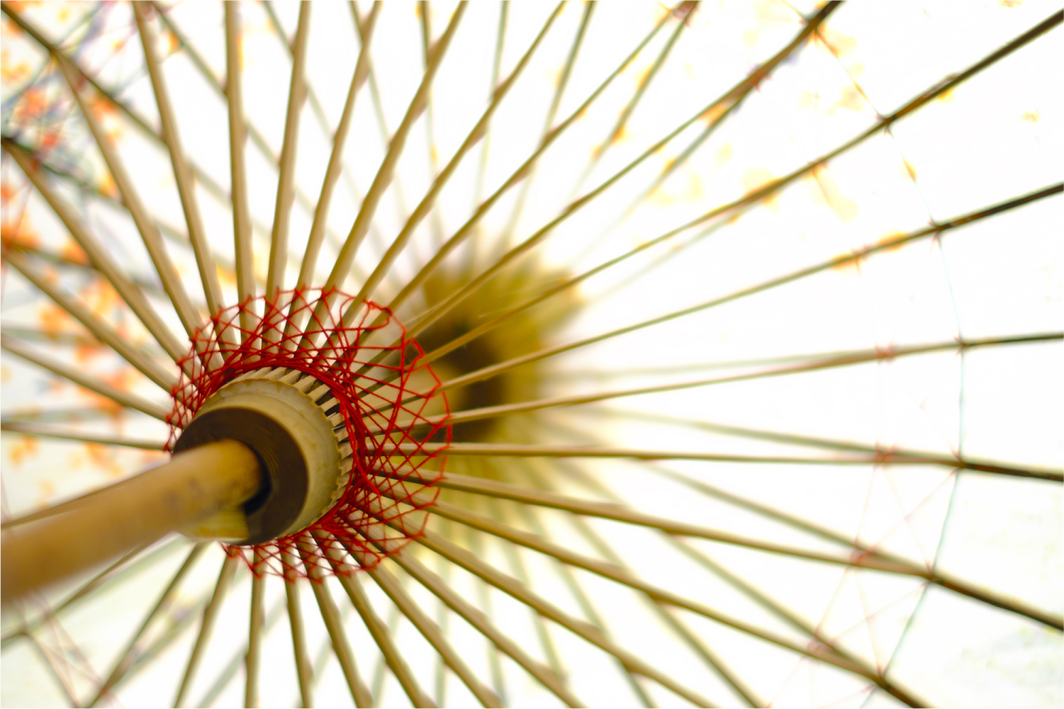 2017年底总结：这一年陪我走过的数码玩具们……