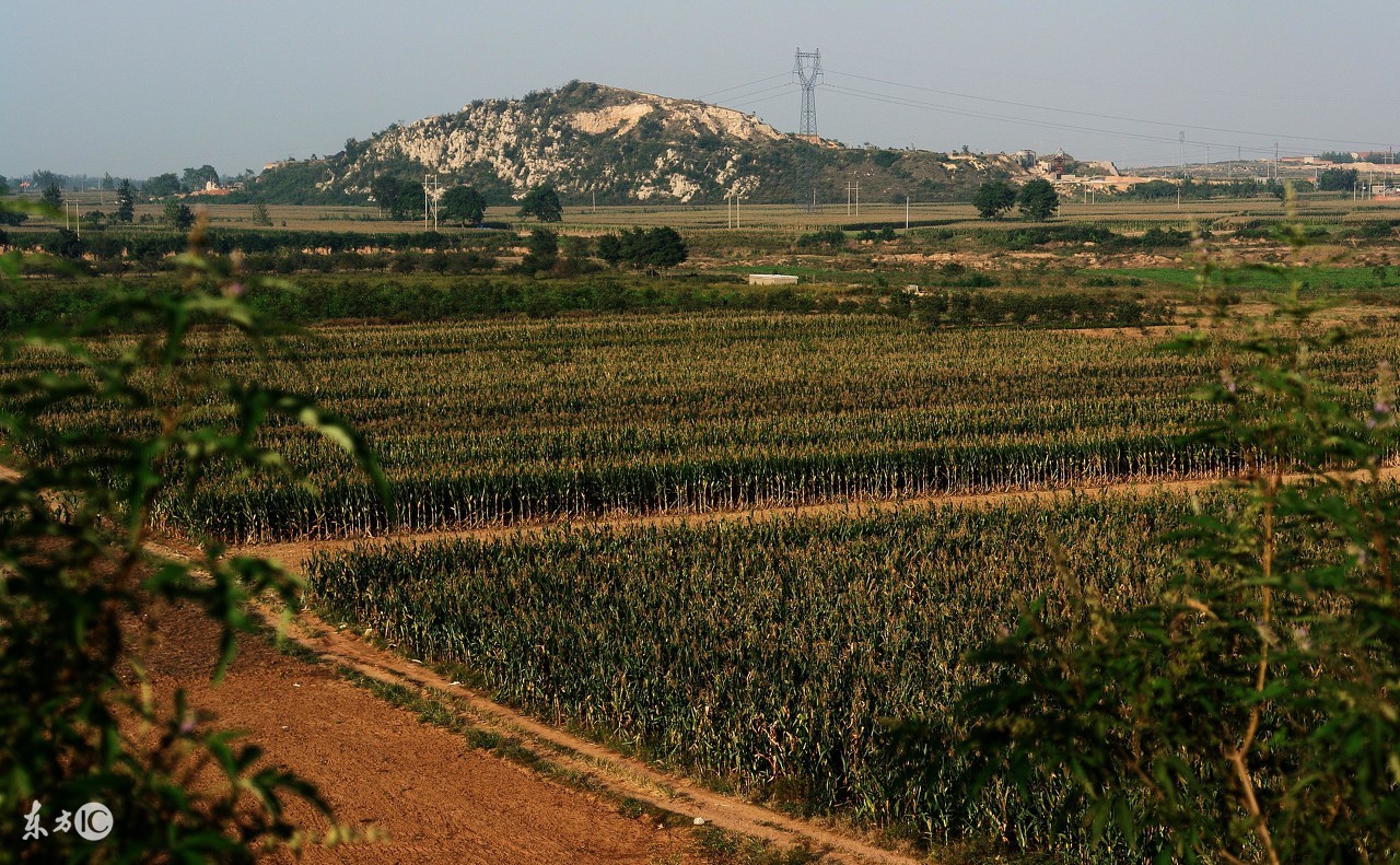 农民的承包地是否能够被村里征收,家庭承包土地村里能收费吗