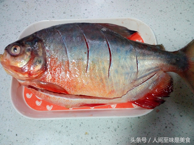 鲳鱼的处理方法清蒸鲳鱼,鲳鱼的最佳吃法清蒸鲳鱼