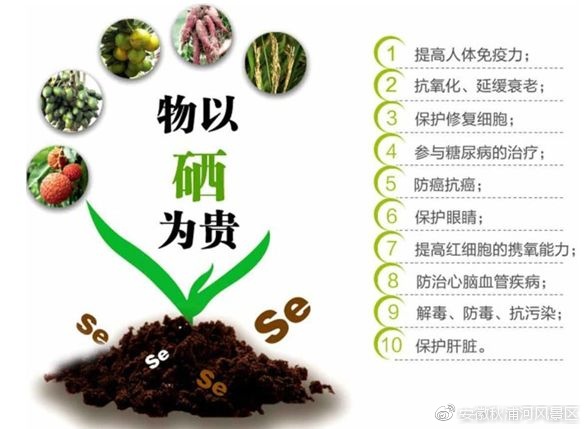 最豪华的温泉,带你体验一下史上最舒服的温泉