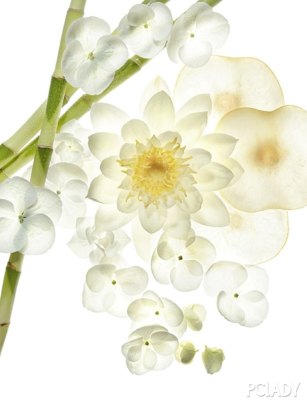 宝格丽omnia系列,宝格丽omnia红水晶