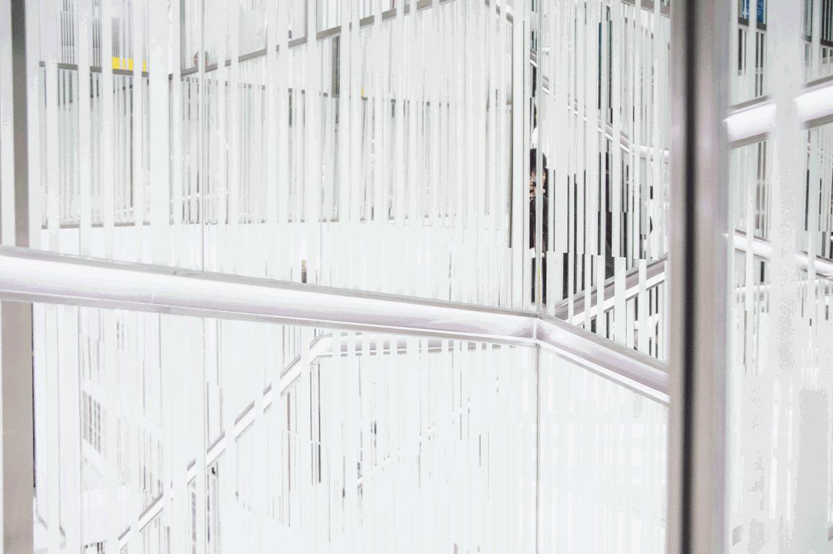 ladym现在改成什么牌子了,ladym美国店铺