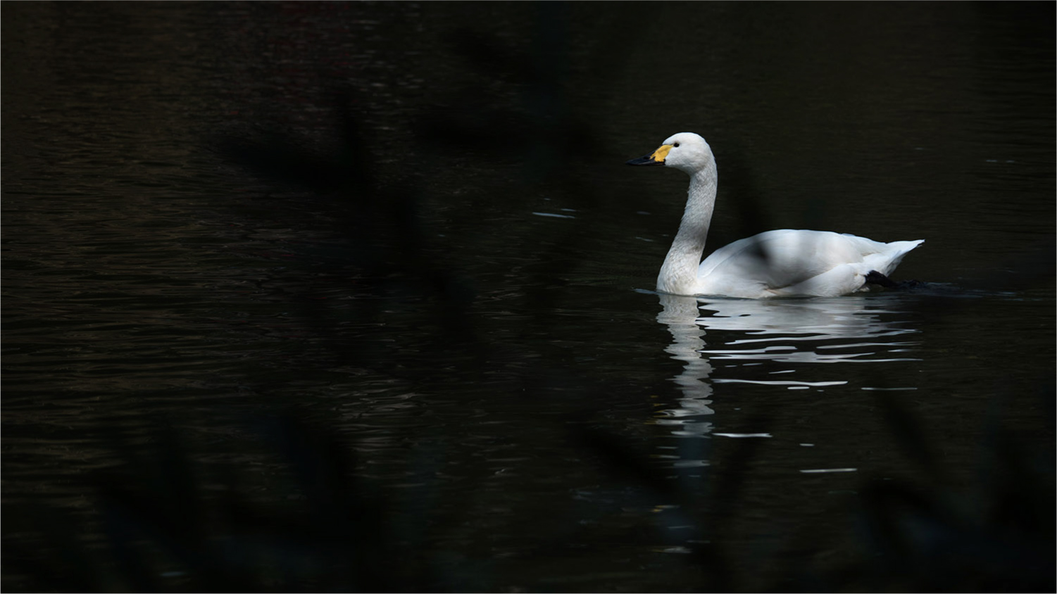 2017年底总结：这一年陪我走过的数码玩具们……