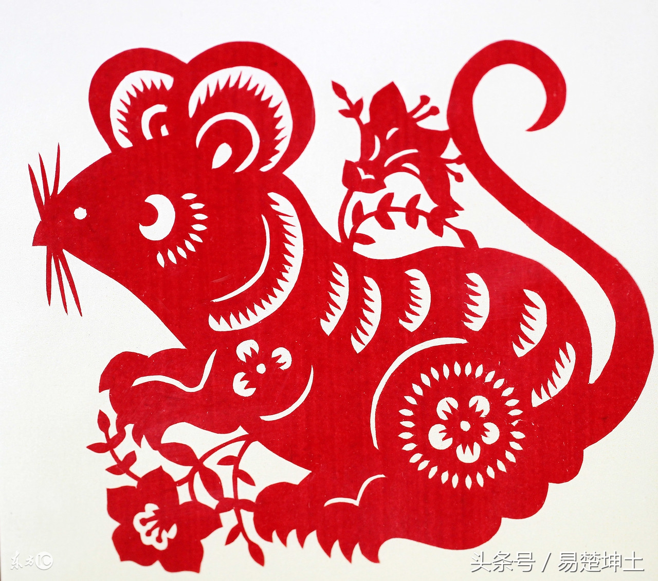 十二生肖蛇五月十四号运势,鼠蛇牛七月运势