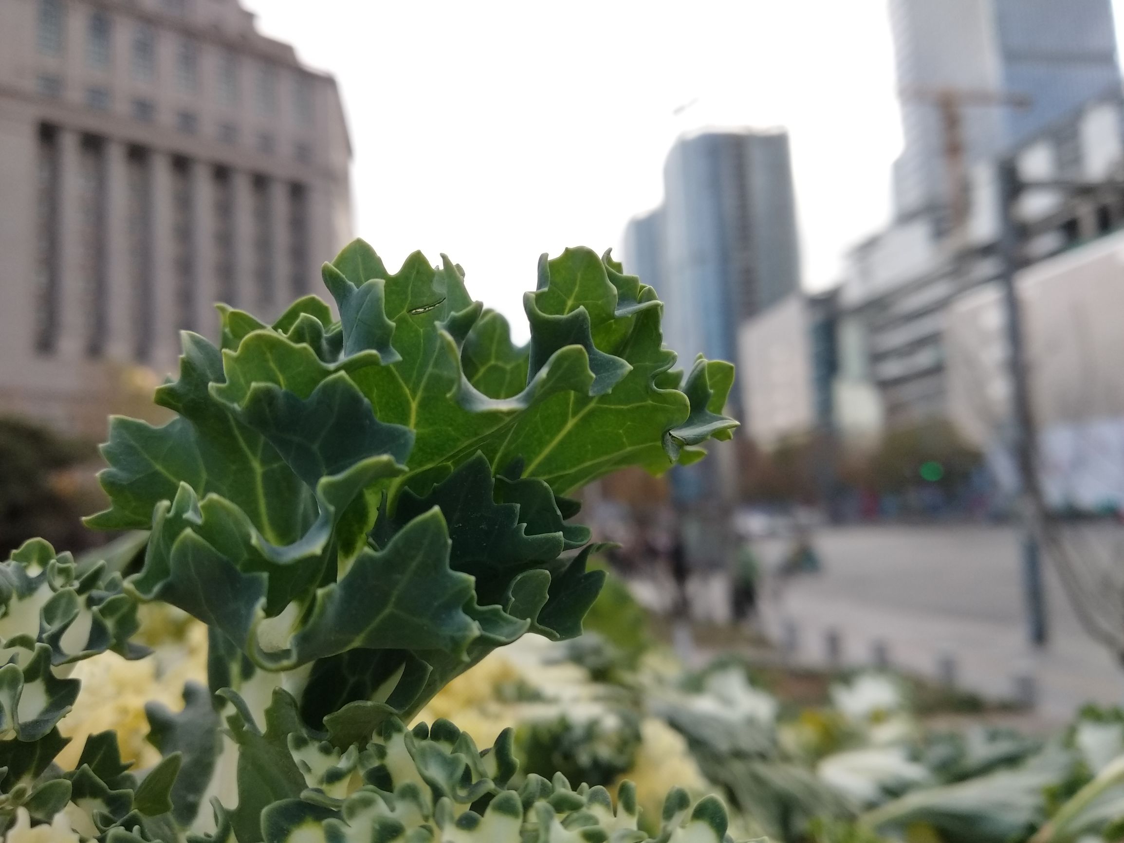 红米5plus测评,红米5plus的优点和不足