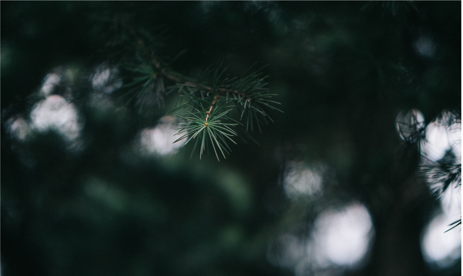 2017年底总结：这一年陪我走过的数码玩具们……