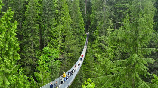 谈恋爱的吊桥效应,吊桥效应怎么追女孩