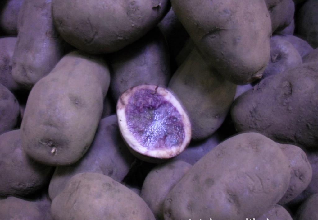 黑土豆有什么功能和功效,黑土豆有什么功能