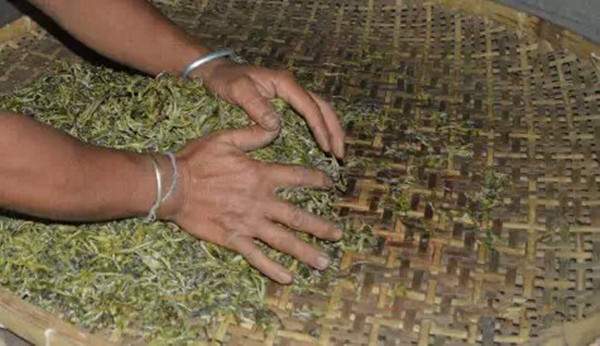 普洱茶的基础知识有哪些,了解普洱茶的基本知识是什么