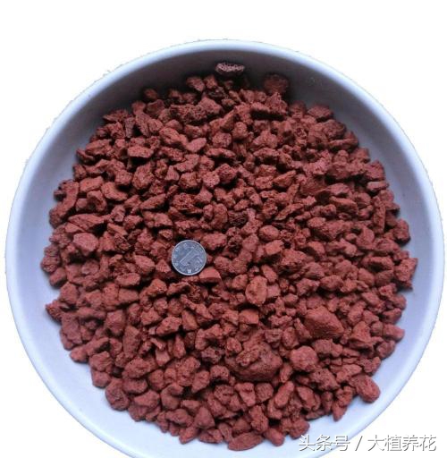 为何总种不好多肉？深扒多肉颗粒土那点事儿