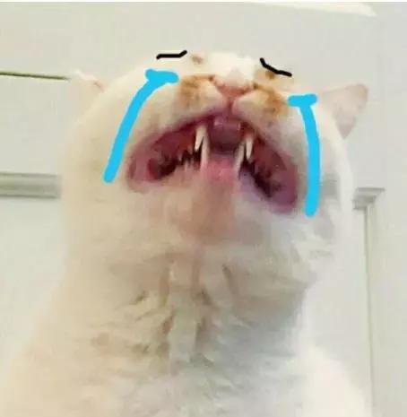 五十块钱买一个香奈儿,一万块钱香奈儿能买到啥