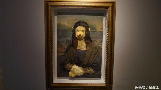 万达泰迪熊亲子乐园,中国哪里有泰迪熊之家博物馆