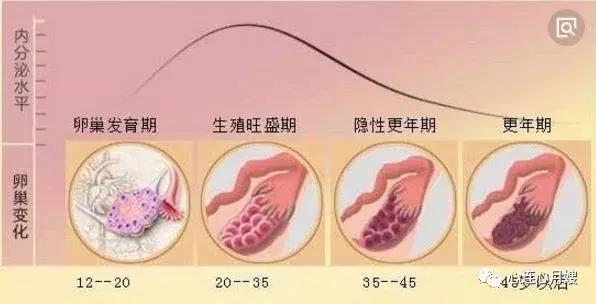 25岁生娃和35岁生娃,23岁生娃跟36岁生娃完全不一样