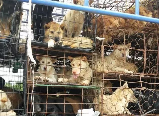 在你眼里再好的东西都是一文不值,在你眼里一文不值在别人眼里是宝