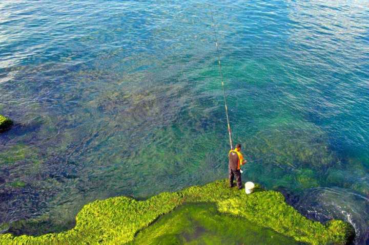 不需要签证就能够去的国家,有哪些小众国家不用签证