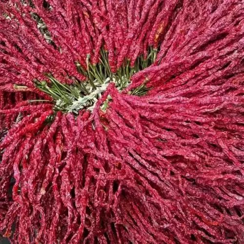 毕节的这些特色农产品你都知道吗,毕节十大特产农产品