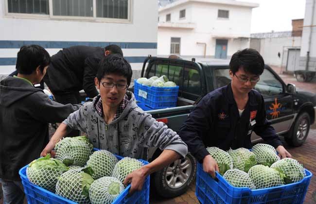 女大学生白手起家创业点子,家庭致富小项目白手起家创业点子
