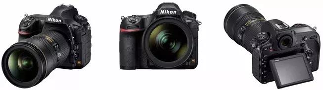 又到年终盘点,尼康最值得新手买的机型