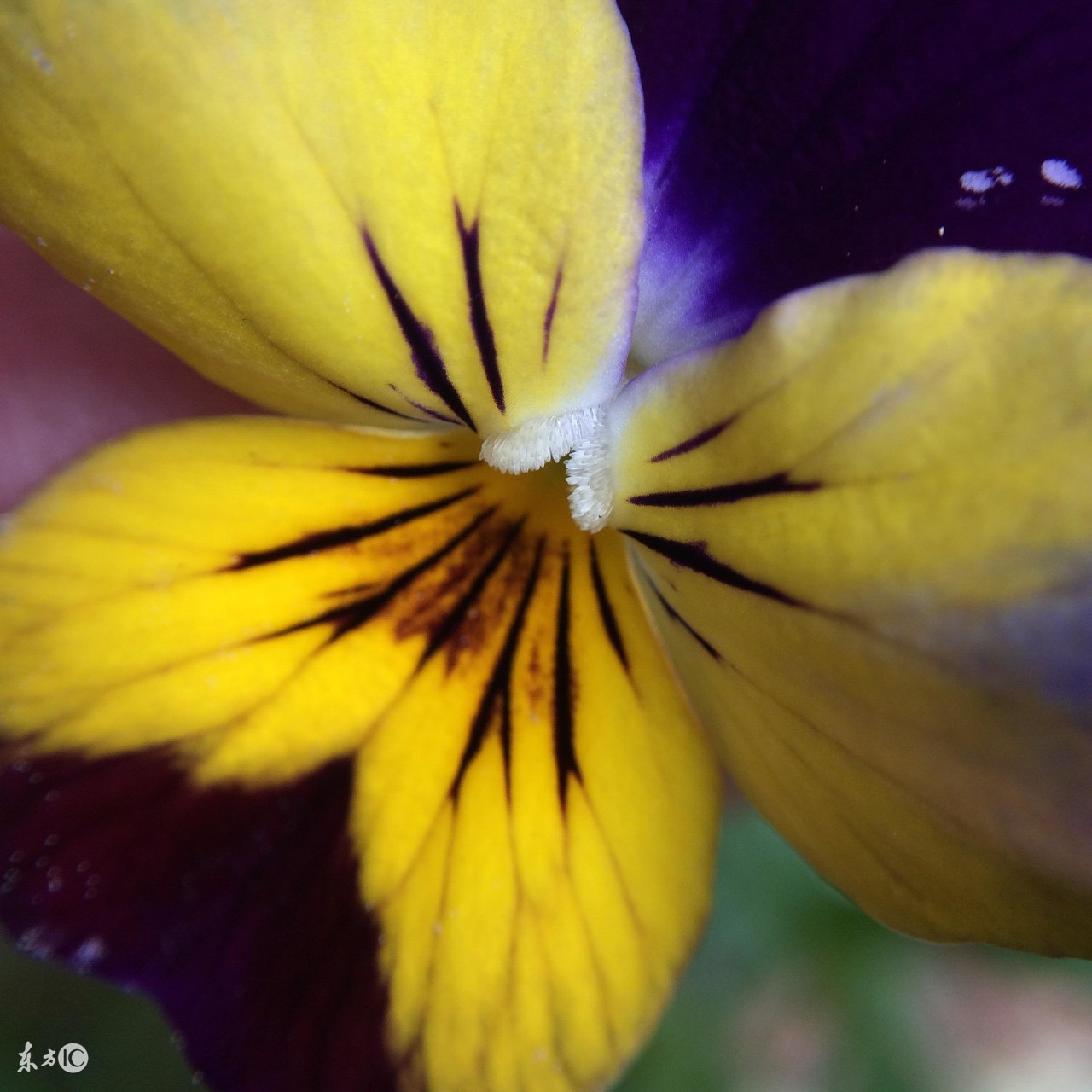 公务员事业单位面试技巧和方法,公务员面试中常用的哲学原理