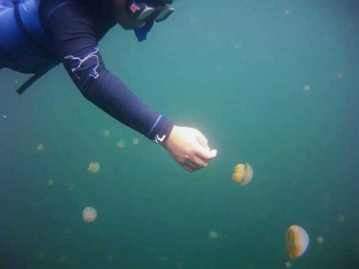 不需要签证就能够去的国家,有哪些小众国家不用签证