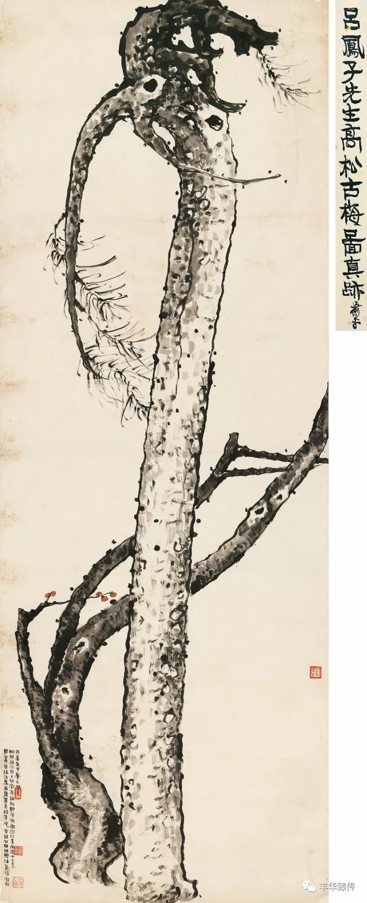 中国嘉德藏家回顾展,中国嘉德拍卖会过亿