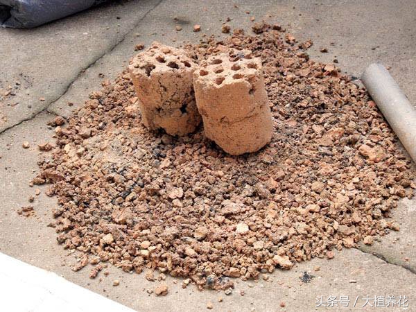 为何总种不好多肉？深扒多肉颗粒土那点事儿