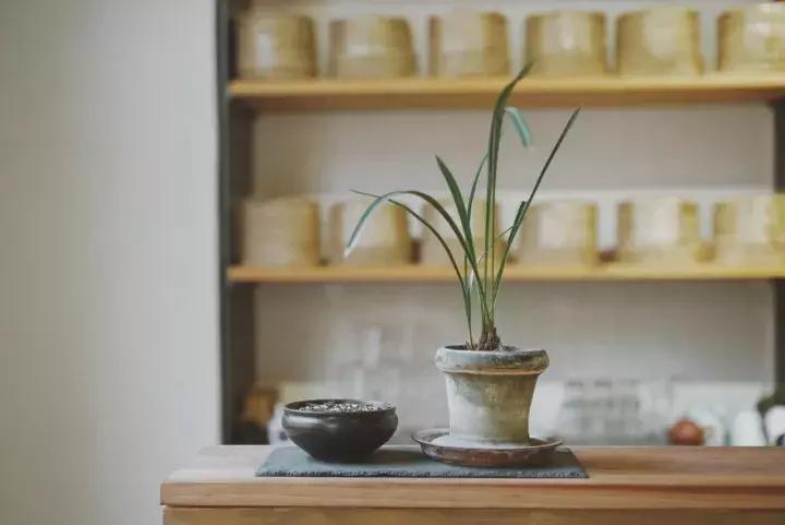 宋聘号老普洱茶,宋聘普洱王2000年限量版