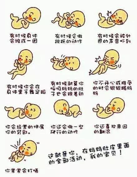 孕期五月胎动在哪,怀孕五个月早晚胎动频繁正常吗