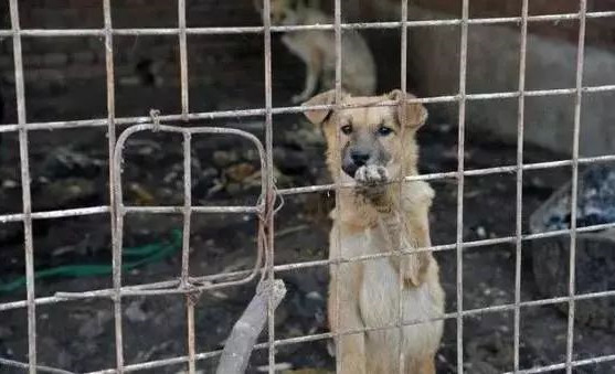 在你眼里再好的东西都是一文不值,在你眼里一文不值在别人眼里是宝