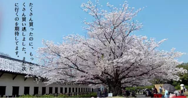 去日本购物买什么,怎么上日本购物网站