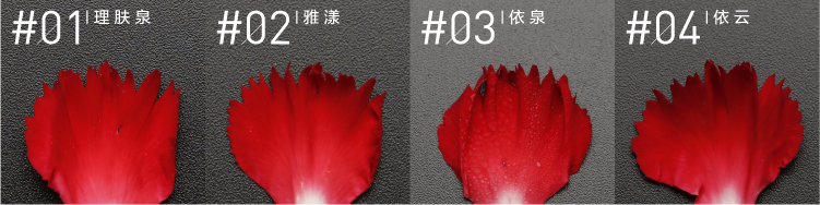 看完这篇文章你就明白了,看完这篇文章就明白了