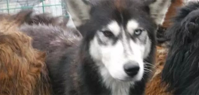 在你眼里再好的东西都是一文不值,在你眼里一文不值在别人眼里是宝