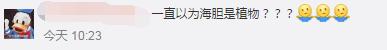 海胆能吃的部分是海胆的什么部位,吃海胆对男性的好处