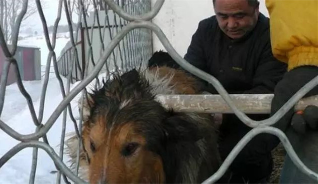 在你眼里再好的东西都是一文不值,在你眼里一文不值在别人眼里是宝